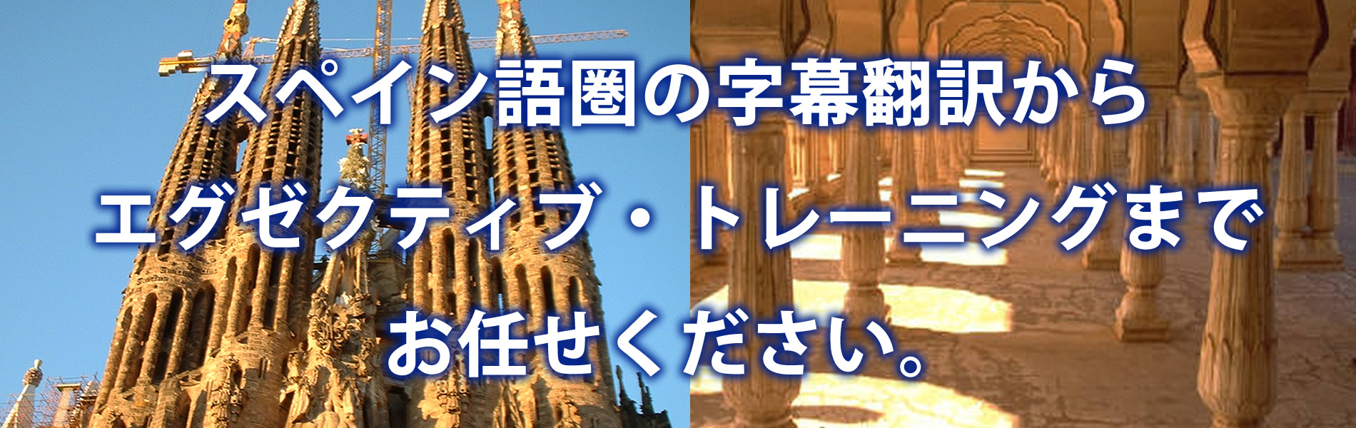 スペイン語圏の字幕翻訳からエグゼクティブ・トレーニングまで