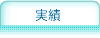 実績